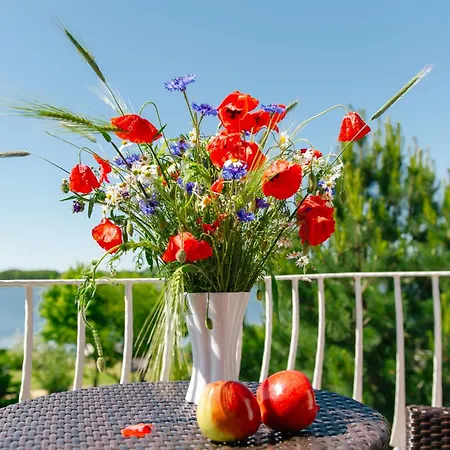 Apartamento Selliner Mit Balkon Und Seeblick *
