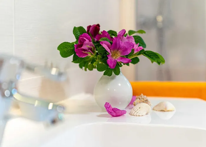 Selliner Mit Balkon Und Seeblick Lejlighed